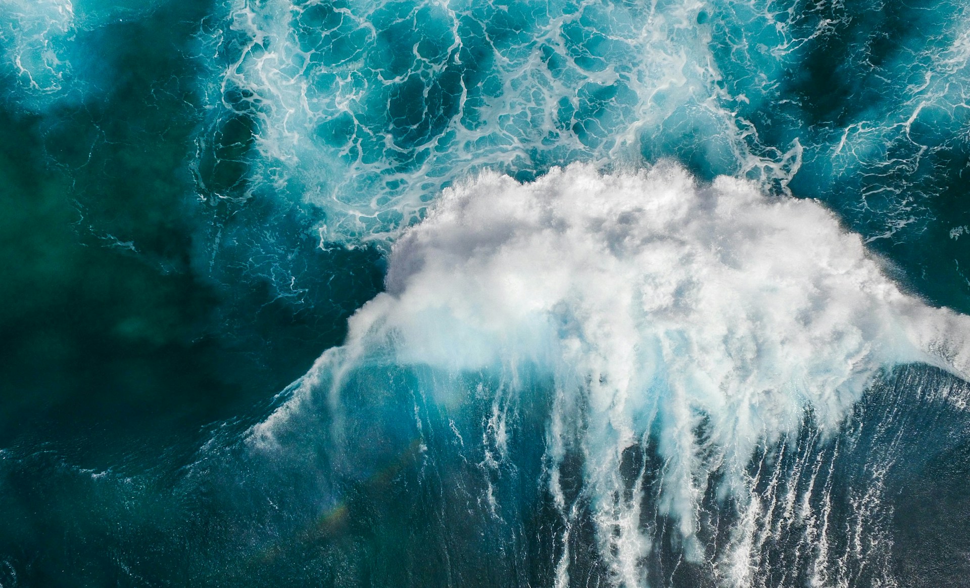 Ocean's Echo